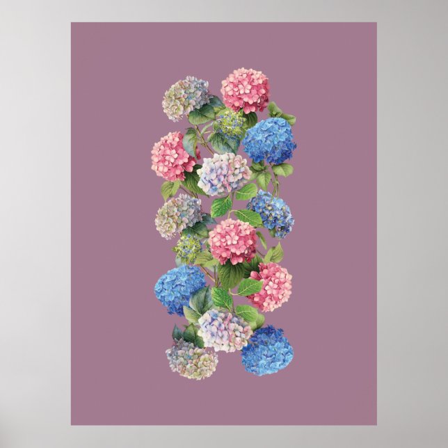 Póster Vintage de Hortensias (Frente)