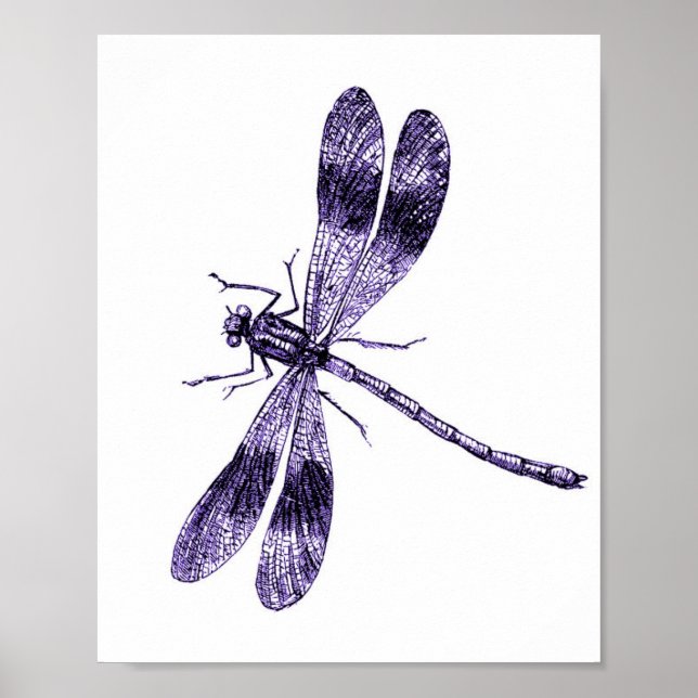Póster Vintage Dragonfly - Purple (Frente)