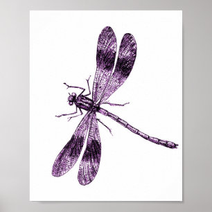 Póster Vintage Dragonfly - Rosa