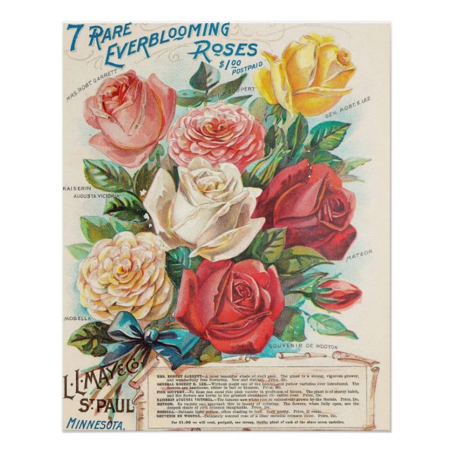 Póster Vintage Everblooming Rosas (Anverso)