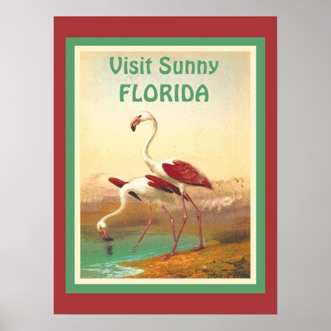 Póster Vintage Flamingos Visita Florida Turismo Viajes (Frente)