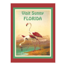 Vintage Flamingos Visita Florida Turismo Viajes