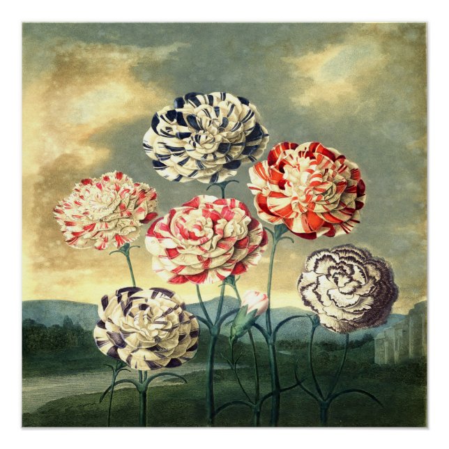 Poster Vintage Floral (Anverso)