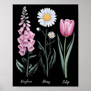 Póster Vintage Floral Planta Foxglove Daisy Tulip Flower 