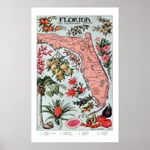 Póster Vintage Florida Everglade Fruta y Flores del Estad