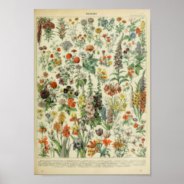 Póster Vintage Forest Floral Flower Plant Poster
