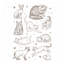 Vintage Funny Cats with Multiple Poses