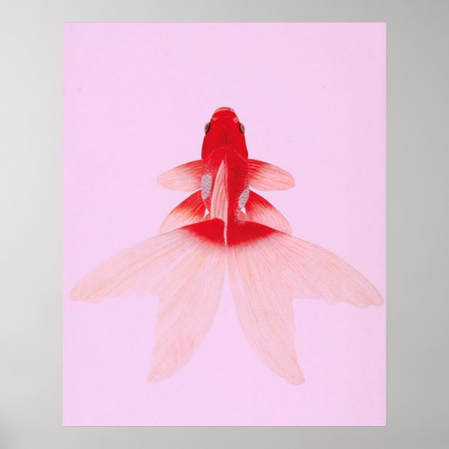 Póster Vintage Gold Fish Wallart (Frente)