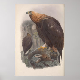 Póster Vintage Golden Eagle Bird