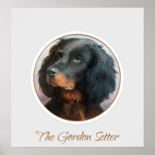 Póster Vintage Gordon Setter