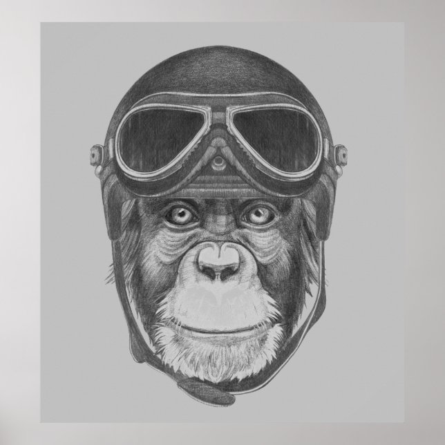 Póster Vintage Helmet Chimpanzee (Frente)
