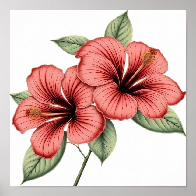 Póster Vintage Hibiscus (Frente)