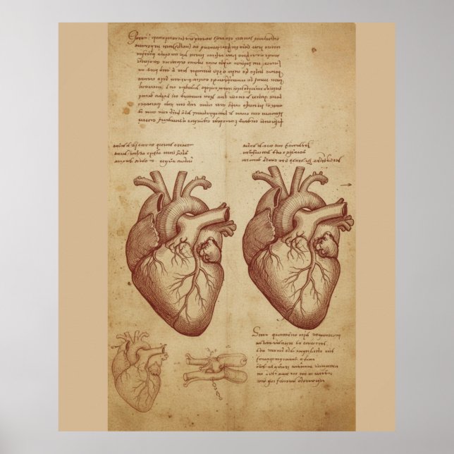 Póster Vintage Human Heart Anatomy Scientific Study Poste (Frente)