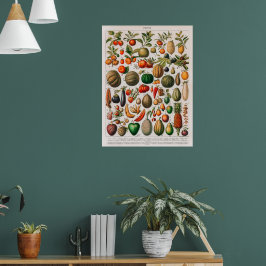 Póster Vintage illustration of fruits and vegetables
