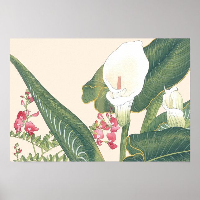 Póster Vintage Japanese Woodblock White Calla Lily (Frente)