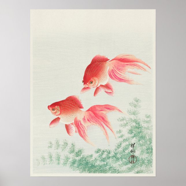 Póster Vintage japonés Veil Goldfish Ilustracion (Frente)