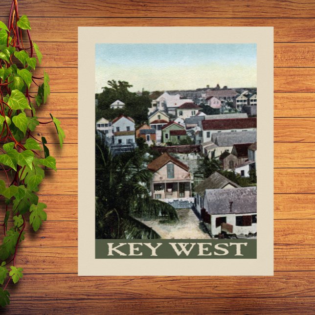 Póster Vintage Key West Houses (Subido por el creador)