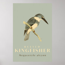 Póster Vintage Kingfisher Watercolor Poster