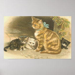 Póster Vintage Kitten