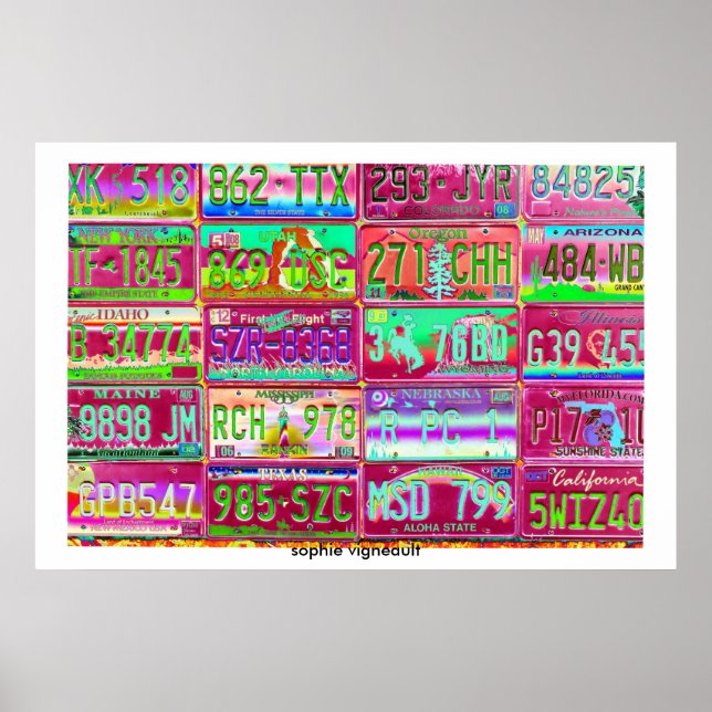 Póster vintage license plates poster (Frente)