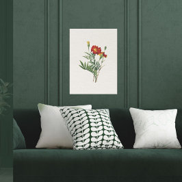 Póster Vintage Look Botanical Marigolds