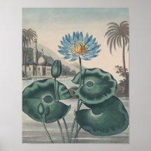 Vintage Lotus
