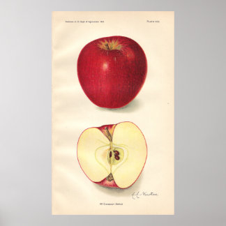Póster Vintage McCroskey Apple Poster