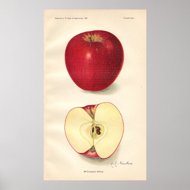 Póster Vintage McCroskey Apple Poster (Frente)