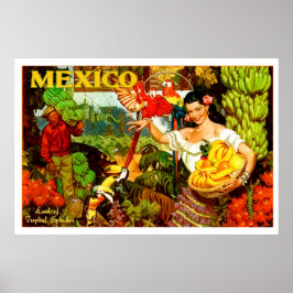 Póster Vintage Mexico Land Of Tropical Splendor Travel
