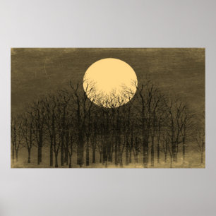 Póster Vintage Moon Night #4