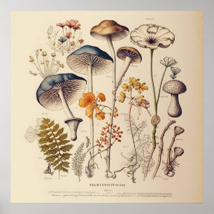 Póster Vintage Mushroom Naturalist