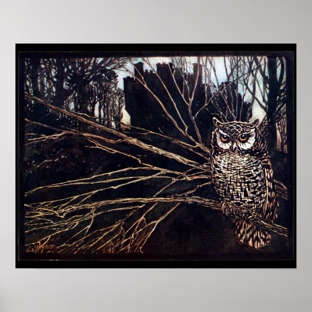 Póster Vintage Night Owl Rackham (Frente)