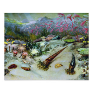 Póster Vintage Ocean Marine Life - Aguas marinas, peces,