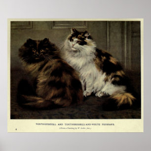 Póster Vintage Painting of Fluffy Cats (1902)