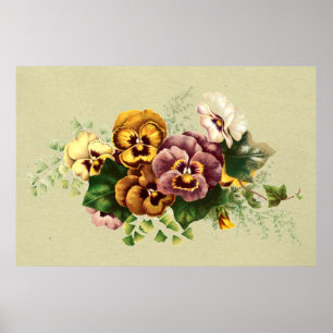 Póster Vintage Pansies Bouquet