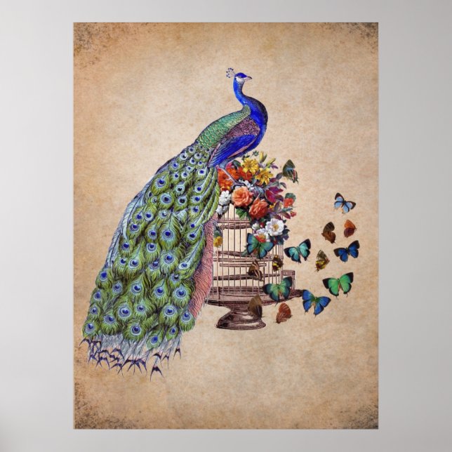 Póster Vintage Peacock on cage (Frente)