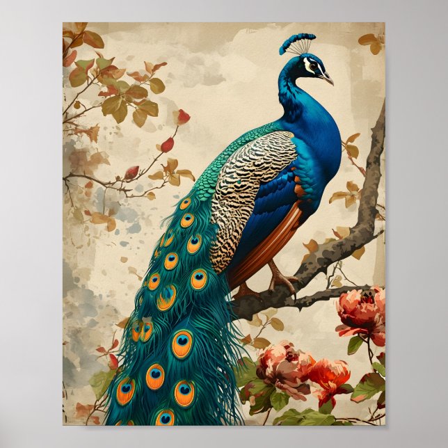 Póster Vintage Peacock Splendor (Frente)