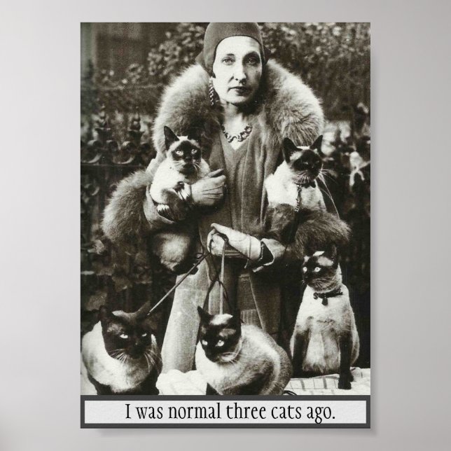 Póster Vintage Photo of Woman & 5 Siamese Cats, (Frente)