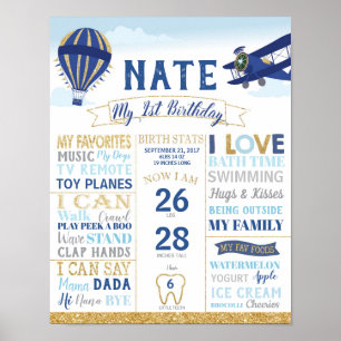 Póster Vintage Plane 1st Birthday Milestones Sign Poster