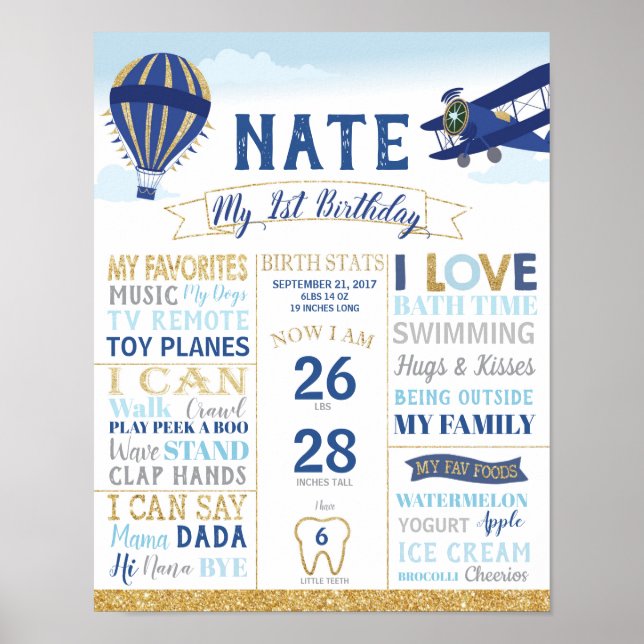Póster Vintage Plane 1st Birthday Milestones Sign Poster (Frente)