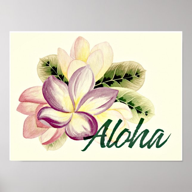 Póster Vintage Plumeria Aloha (Frente)