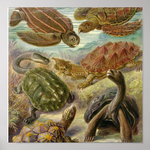 Póster Vintage Poster