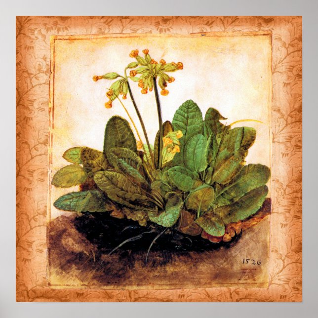 Póster Vintage Primrose Flower (Frente)