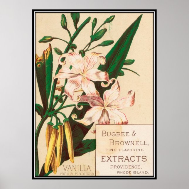 Póster Vintage : publicidad alimentaria - (Frente)