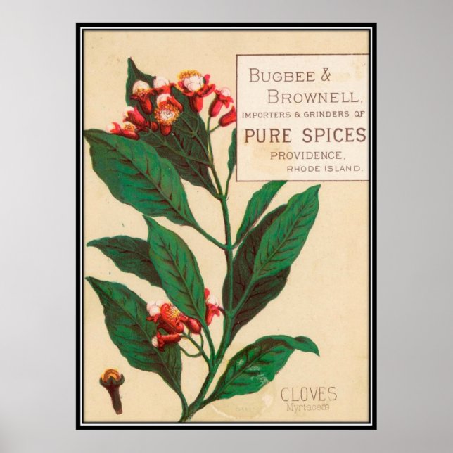 Póster Vintage : publicidad alimentaria - (Frente)