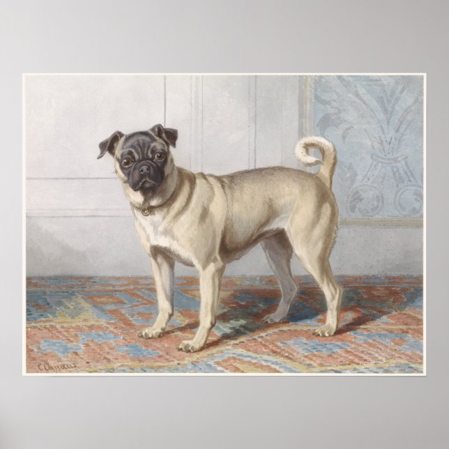 Póster Vintage Pug (Frente)