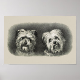 Póster Vintage Pups