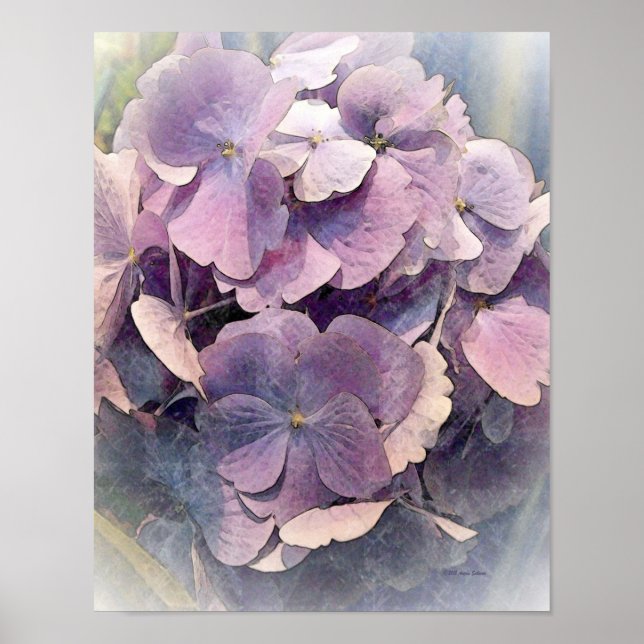 Póster Vintage Purple HydrangeasPhoto Art (Frente)