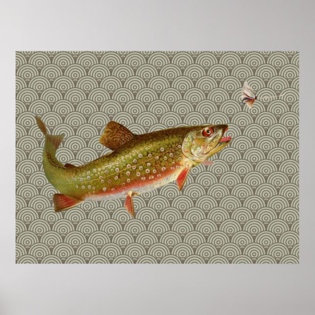Póster Vintage Rainbow Trout Fly Fishing (Frente)
