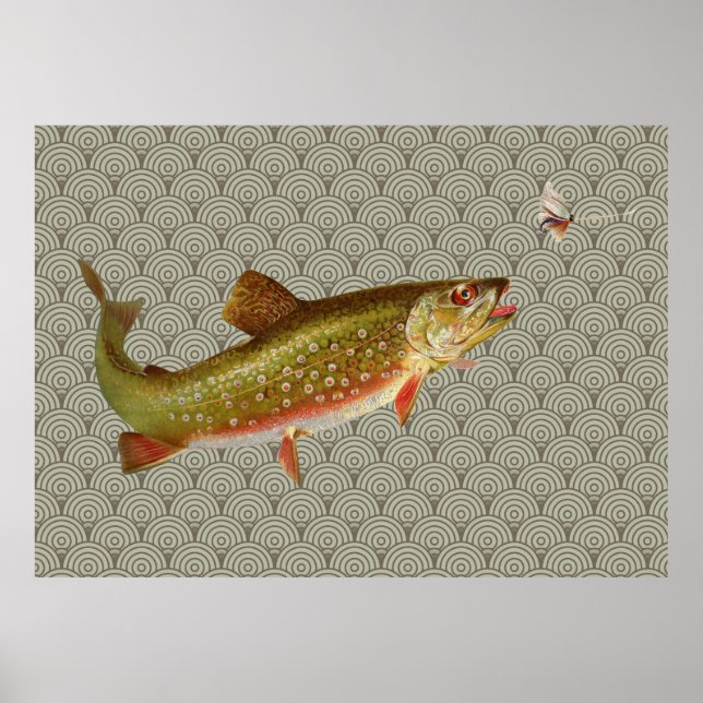 Póster Vintage Rainbow Trout Fly Fishing (Frente)
